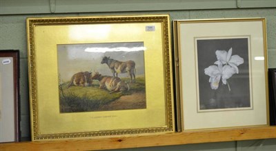 Lot 586 - Follower of Thomas Sidney Cooper (19th century) cattle resting in a landscape, watercolour,...