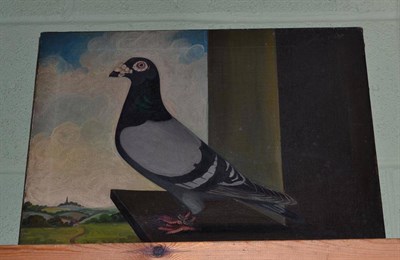 Lot 611 - J T Ryder: pair of oil on canvas Janssens racing pigeons - channel winning birds, racing number...