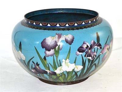 Lot 81 - A Japanese cloisonne jardiniere decorated with iris on a blue ground, 31cm wide (a.f.)