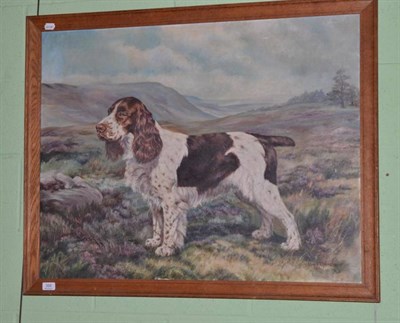 Lot 368 - Olive F. Openshaw, portrait of a brown and white Springer Spaniel, signed, oil on canvas