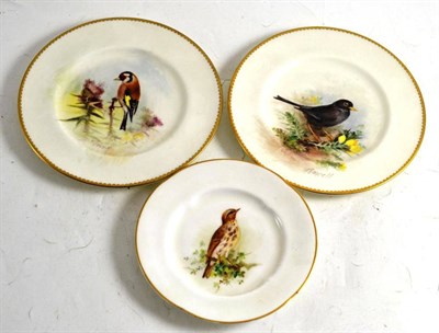 Lot 88 - Pair of Royal Worcester ornithological plates by Powell and one other