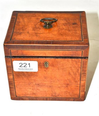 Lot 221 - Small satinwood tea caddy