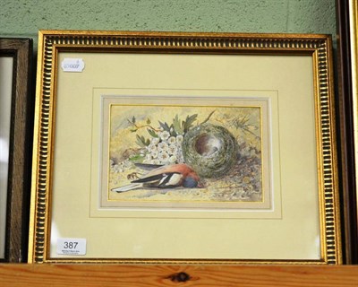 Lot 387 - F. Flockton (fl.1867-1876) A dead Chaffinch with flowers and a birds nest, signed and dated...