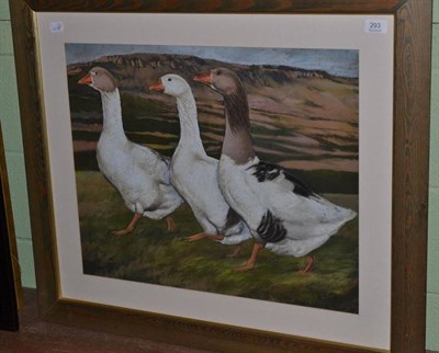 Lot 293 - Robert Nicholls (20th/21st century) ";Maggy Jones Geese";, signed and dated (19)78, pastel