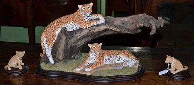 Lot 429 - Ballantynes composition group of two leopards on a tree stump and two cubs