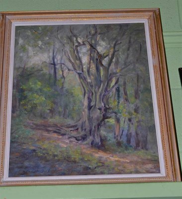 Lot 324 - Neil Tyler (Contemporary), ";Beech Tree";, oil on hardboard