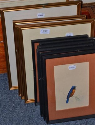 Lot 499 - Set of five framed watercolours, floral studies initialled 'ELJ', six framed watercolour studies of