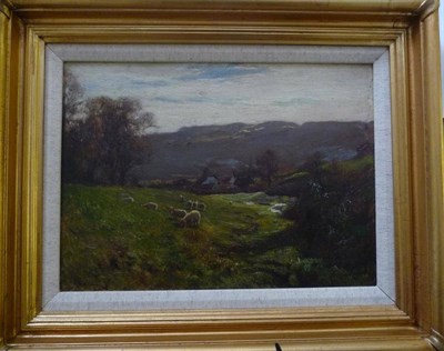 Lot 676 - Arthur A Friedenson (1872-1955) Sheep grazing in a sunlit landscape, North Yorkshire Moors...