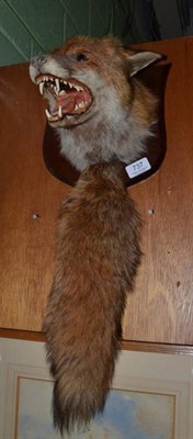 Lot 737 - Stuffed and mounted fox mask and brush by David Clayton, Norton Canes