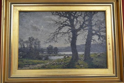 Lot 705 - Jose Weiss (1859-1919)  "The Floods of the Arun " Signed, inscribed verso, oil on panel, 25cm...