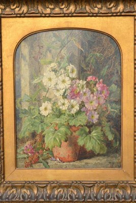 Lot 751 - Attributed to Annie Feray Mutrie (1826-1893) Still life of flowers in a clay pot on a window ledge