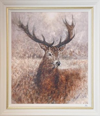 Lot 1019 - Gary Benfield (b.1965) ''Noble'' Signed and...