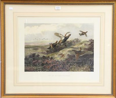 Lot 1212 - After Archibald Thorburn two sporting prints...