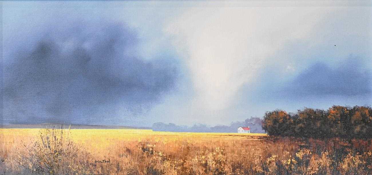 Lot 1024 - Barry Hilton (Contemporary) ''Shades of Dawn''...
