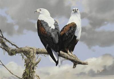 Lot 818 - Spencer Hodge (b.1943)  "Fish Eagles " Signed, inscribed verso, oil on canvas, 65cm by 92cm...