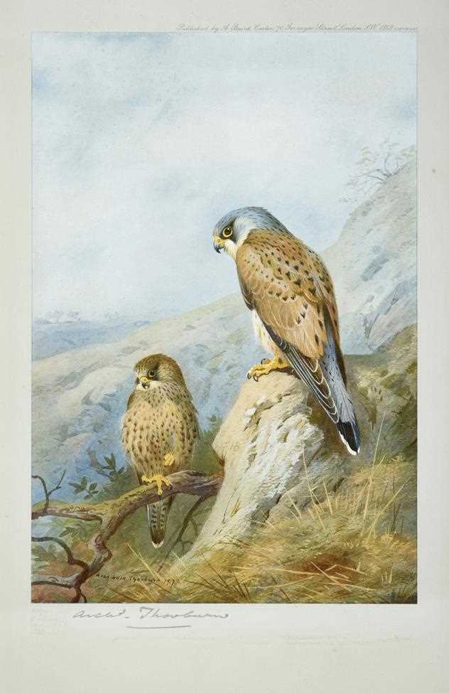 Lot 474 - After Archibald Thorburn FZS (1860-1935) Birds...