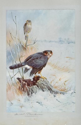 Lot 474 - After Archibald Thorburn FZS (1860-1935) Birds...