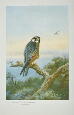 Lot 474 - After Archibald Thorburn FZS (1860-1935) Birds...