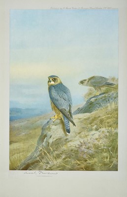 Lot 474 - After Archibald Thorburn FZS (1860-1935) Birds...