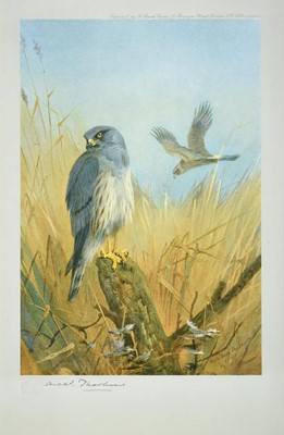 Lot 474 - After Archibald Thorburn FZS (1860-1935) Birds...