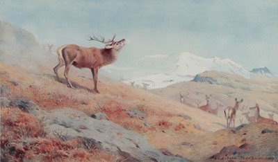 Lot 433 - After Archibald Thorburn FZS (1860-1935)...