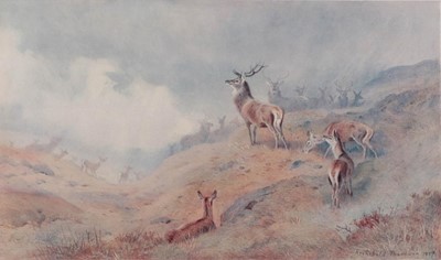 Lot 433 - After Archibald Thorburn FZS (1860-1935)...