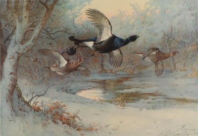 Lot 434 - After Archibald Thorburn FZS (1860-1935)...