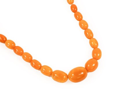 Lot 2239 - An Amber Bead Necklace, formed of forty-five...