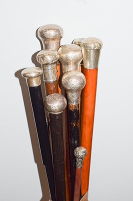 Lot 331 - Ten Various silver mounted walking sticks (10)