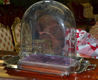 Lot 322 - A Victorian mahogany oval tray, a plated two handled tea tray and a glass dome on stand