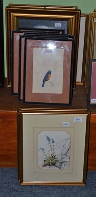 Lot 361 - Set of five framed watercolours, floral studies initialled 'ELJ', six framed watercolour studies of