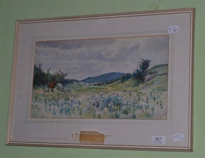 Lot 367 - Adela Stobart, horses grazing in a meadow, signed, watercolour