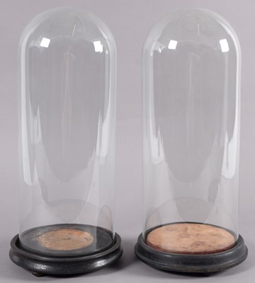 Lot 86 - Glass Dome: A Pair of Late 19th Century...