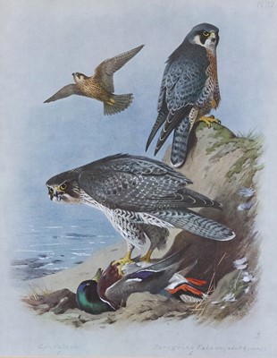 Lot 1073 - A group of prints after Archibald Thorburn;...