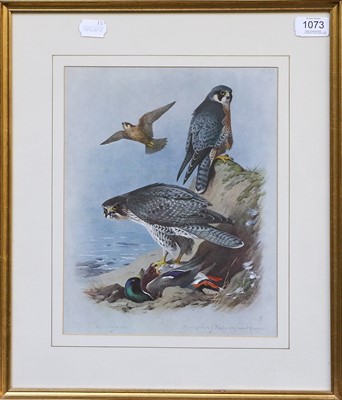 Lot 1073 - A group of prints after Archibald Thorburn;...