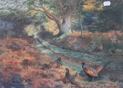 Lot 1073 - A group of prints after Archibald Thorburn;...