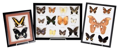 Lot 214 - Entomology: A Collection of Framed Butterflies...