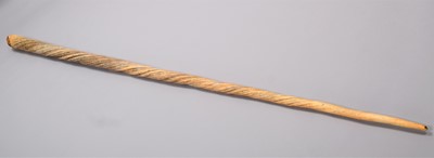 Lot 238 - Natural History: A Very Large Narwhal Tusk...