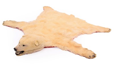 Lot 179 - Taxidermy: Polar Bear Skin (Ursus maritimus),...