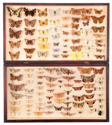 Lot 199 - ~ Entomology: A Collection of British...