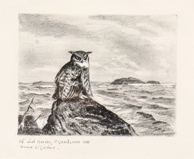 Lot 96 - Bruno Liljefors (1860-1939). Eagle owl at rest on a rock