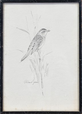 Lot 91 - Archibald Thorburn FZS (1860-1935) Sketch of a falcon, with 2 others similar