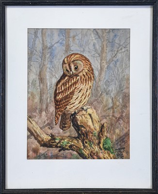 Lot 107 - Paul A. Nicholas (1943-2007). "Tawny Owl", signed gouache, & 2 others