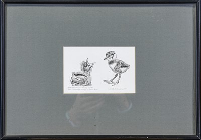 Lot 108 - Robert Gillmor MBE PPSWLA (1936-). Three original pen-and-ink sketches