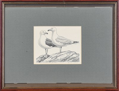 Lot 108 - Robert Gillmor MBE PPSWLA (1936-). Three original pen-and-ink sketches
