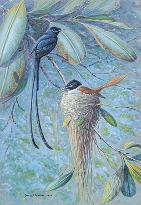 Lot 101 - Donald Watson (1918-2005). Seychelles Paradise flycatcher, 1978