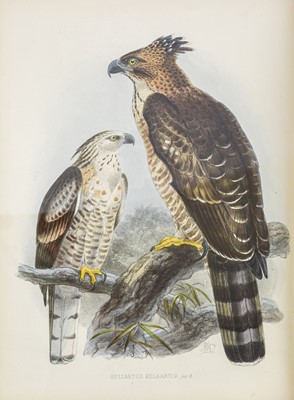 Lot 61 - Legge (W. Vincent). A History of the Birds of Ceylon, 1st edition, 1880