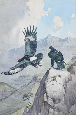 Lot 102 - John Cyril Harrison (1898-1985) Black Eagles in a mountainous landscape, signed watercolour