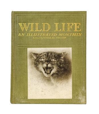 Lot 47 - English (Douglas, editor). Wild Life. An Illustrated Monthly, 1913-17, & others