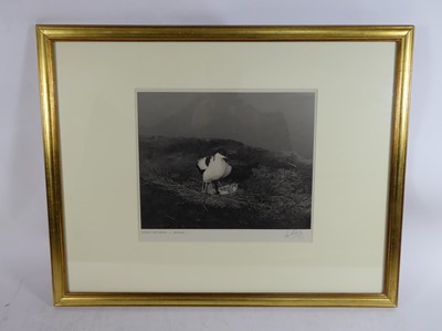 Lot 112 - Eric Hosking OBE Hon. FRPS FBIPP (1909-1991). Set of original photographs, c.1935-55